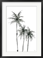 Shadow Palms II Fine Art Print