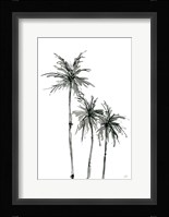 Shadow Palms II Framed Print