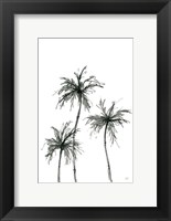 Shadow Palms I Fine Art Print