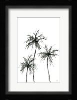 Shadow Palms I Framed Print