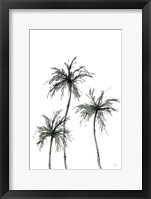 Shadow Palms I Framed Print