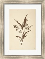 Vintage Line Lily of the Valley I Fine Art Print