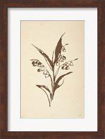 Vintage Line Lily of the Valley I Fine Art Print