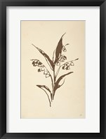 Vintage Line Lily of the Valley I Framed Print