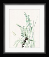 Grasses III on Linen Framed Print