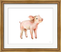 Sweet Piggy on White Fine Art Print
