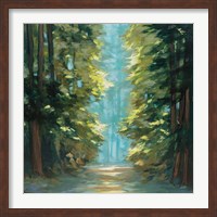 Sunlit Forest Fine Art Print