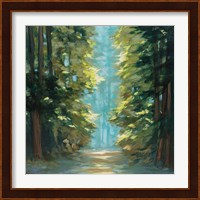 Sunlit Forest Fine Art Print