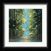 Sunlit Forest Fine Art Print
