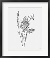 Among Wildflowers I Fine Art Print