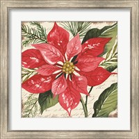 Red Poinsettia Botanical Fine Art Print