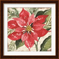 Red Poinsettia Botanical Fine Art Print