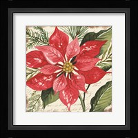 Red Poinsettia Botanical Framed Print