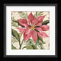 Mauve Poinsettia Botanical Fine Art Print