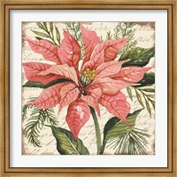 Peach Poinsettia Botanical Fine Art Print