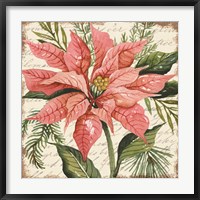 Peach Poinsettia Botanical Fine Art Print