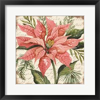 Peach Poinsettia Botanical Fine Art Print