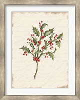 Holly Christmas Botanical Fine Art Print