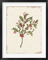 Holly Christmas Botanical Fine Art Print