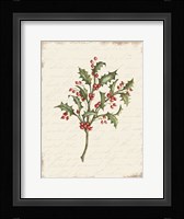 Holly Christmas Botanical Fine Art Print