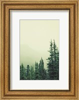 Rocky Mountain 6 Fine Art Print