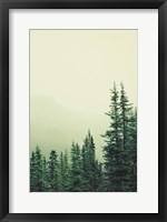 Rocky Mountain 6 Fine Art Print