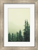 Rocky Mountain 6 Fine Art Print