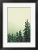 Rocky Mountain 6 Fine Art Print