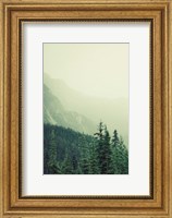 Rocky Mountain 7 Fine Art Print