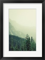 Rocky Mountain 7 Fine Art Print