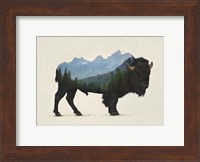 Grand Teton Bison Fine Art Print
