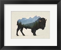 Grand Teton Bison Fine Art Print