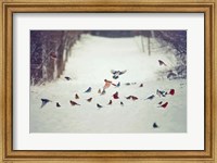 Feathered Friends Birds in Snow Fine Art Print