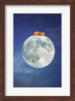 Fox Sleeping on Moon Fine Art Print