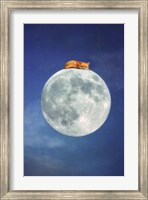 Fox Sleeping on Moon Fine Art Print