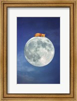 Fox Sleeping on Moon Fine Art Print