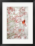 Red Cardinal in the Red Berries Fine Art Print