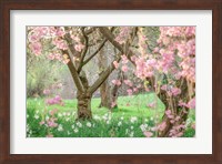 Springtime Fairytale Cherry Tree Fine Art Print