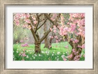 Springtime Fairytale Cherry Tree Fine Art Print