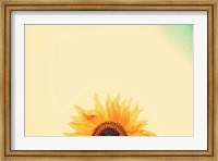 Sunflower Sunrise Fine Art Print