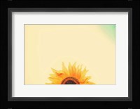 Sunflower Sunrise Fine Art Print