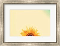 Sunflower Sunrise Fine Art Print
