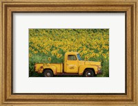 Yellow Vintage Sunflower Truck Fine Art Print