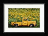 Yellow Vintage Sunflower Truck Fine Art Print