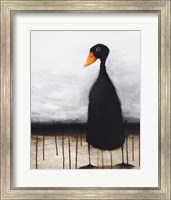 The Black Duck Fine Art Print