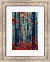 Autumn Forest In The Mist Fine Art Print
