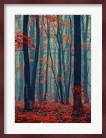 Autumn Forest In The Mist Fine Art Print