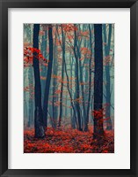 Autumn Forest In The Mist Fine Art Print