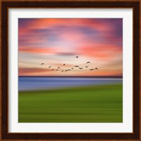 Birds In The Sunset Fine Art Print