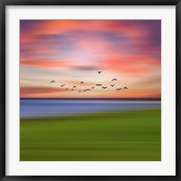 Birds In The Sunset Fine Art Print